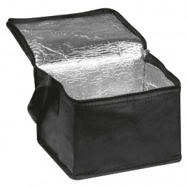 Non woven cooling bag Nieby