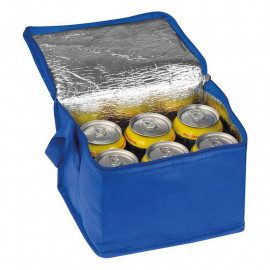 Non woven cooling bag Nieby