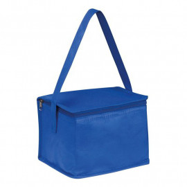 Non woven cooling bag Nieby