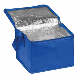 Non woven cooling bag Nieby