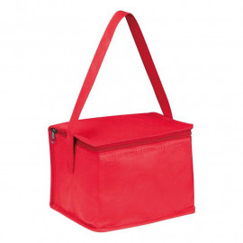 Non woven cooling bag Nieby