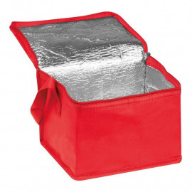 Non woven cooling bag Nieby