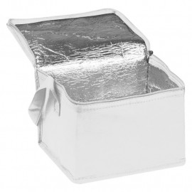 Non woven cooling bag Nieby