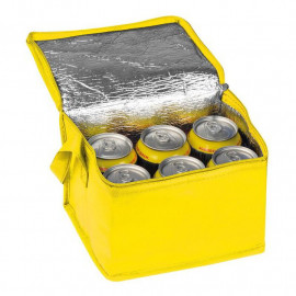 Non woven cooling bag Nieby