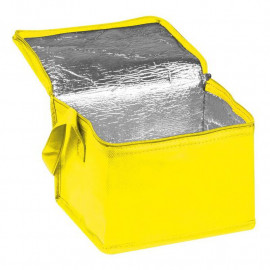 Non woven cooling bag Nieby