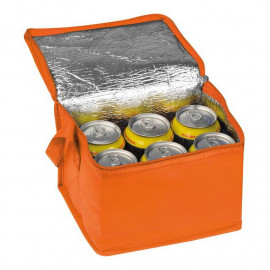 Non woven cooling bag Nieby