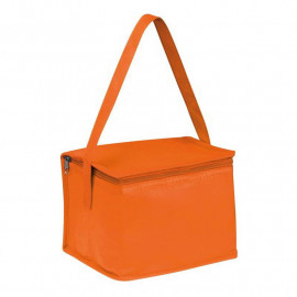 Non woven cooling bag Nieby