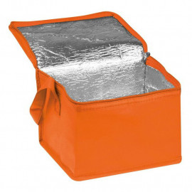 Non woven cooling bag Nieby