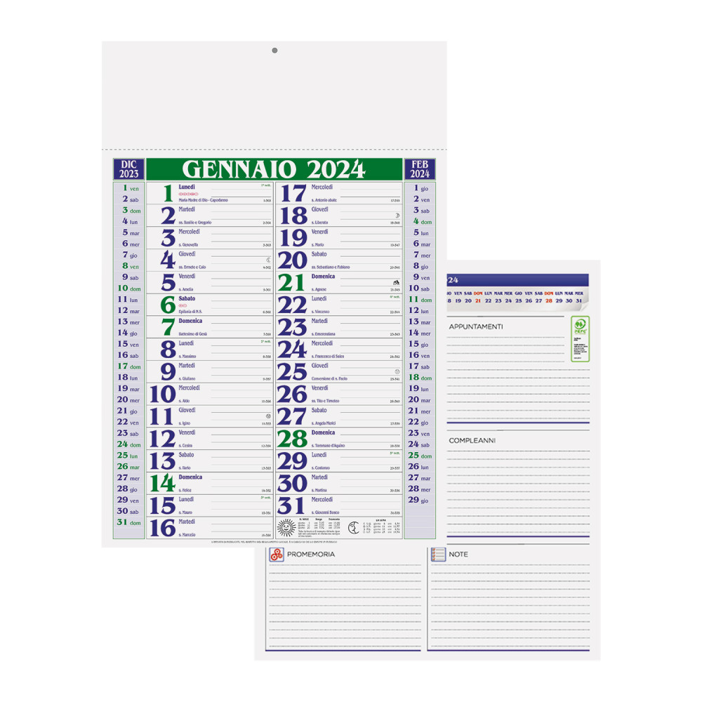 Olandese Medio Verde Olandese Medio Verde