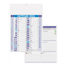 Olandese Medio Verde Olandese Medio Verde