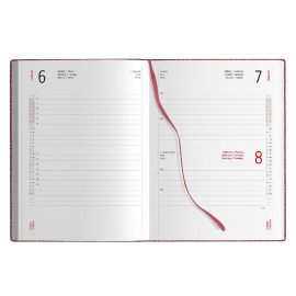 Agenda Giornaliera Agenda Giornaliera
