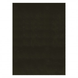 Origano