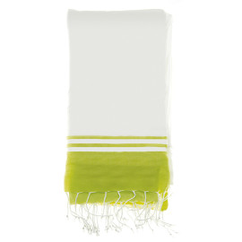 Olandese White Olandese White