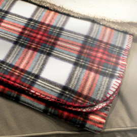 Olandese Black Olandese Black