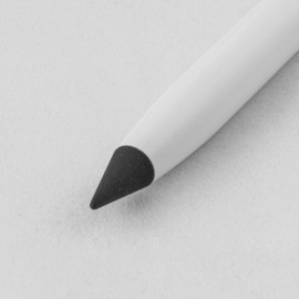 Cani E Gatti Cani E Gatti