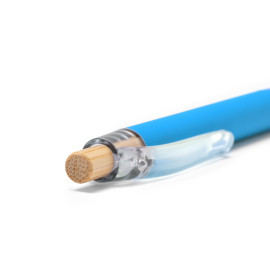 Cani E Gatti Cani E Gatti