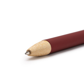 Cani E Gatti Cani E Gatti