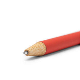 Cani E Gatti Cani E Gatti