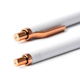 Cani E Gatti Cani E Gatti