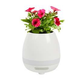 Città del Mondo Città del Mondo