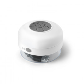 Olandese Colorful  Olandese Colorful