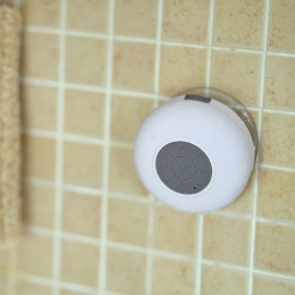 Olandese Colorful  Olandese Colorful