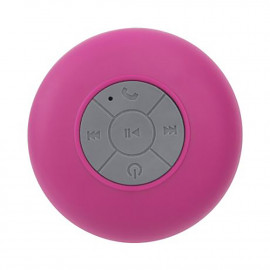 Olandese Colorful  Olandese Colorful