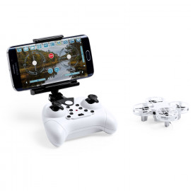 Olandese Colorful  Olandese Colorful