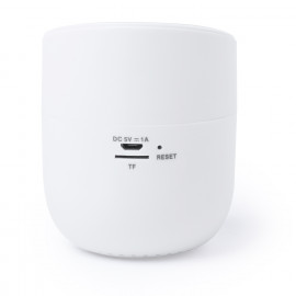 Olandese Colorful  Olandese Colorful