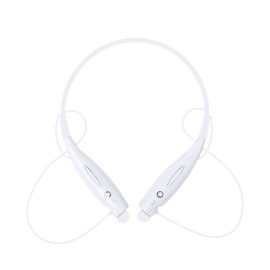 Olandese Colorful  Olandese Colorful