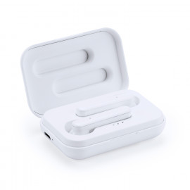 Olandese Colorful  Olandese Colorful