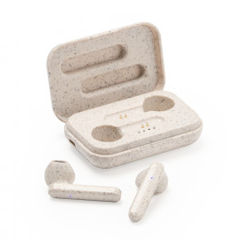 Olandese Colorful  Olandese Colorful