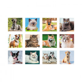 Silhouette Cani E Gatti Silhouette Cani E Gatti