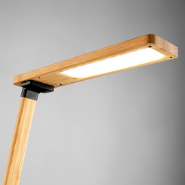 Feletto