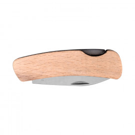 Oliva
