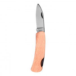 Oliva