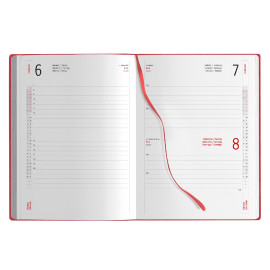 Agenda Giornaliera  Agenda Giornaliera