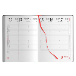 Agenda Settimanale  Agenda Settimanale