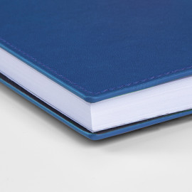 Agenda Giornaliera  Agenda Giornaliera