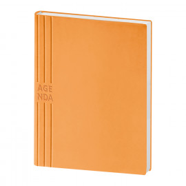 Agenda Giornaliera Flessibile Agenda Giornaliera Flessibile