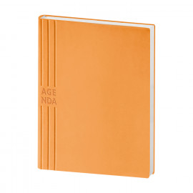 Agenda Giornaliera Flessibile Agenda Giornaliera Flessibile