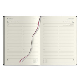 Agenda Manager Giornaliera Agenda Manager Giornaliera