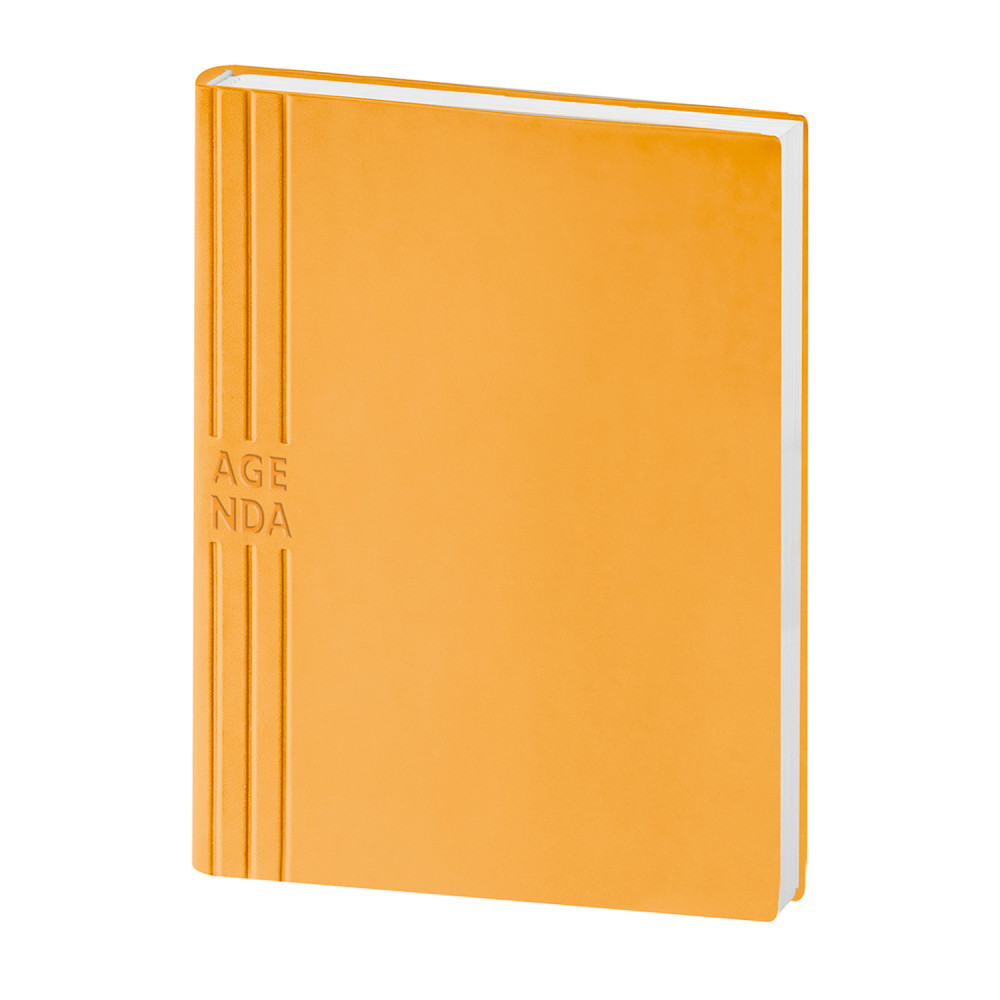 Agenda Flessibile Agenda Flessibile