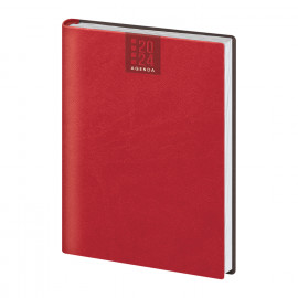 Agenda Giornaliera  Agenda Giornaliera