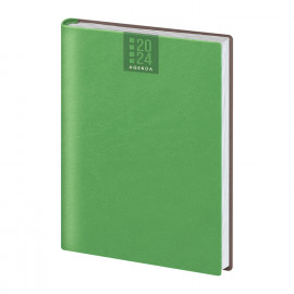 Agenda Giornaliera  Agenda Giornaliera