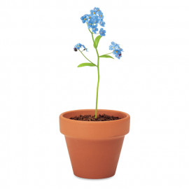 Terracotta pot 'forget me not'