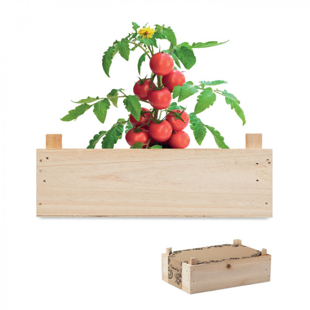 Tomato kit in wooden crate Tomato kit in wooden crate