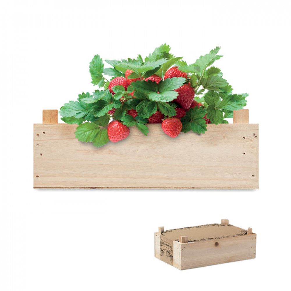 Strawberry kit in wooden crate Strawberry kit in wooden crate