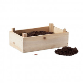 Strawberry kit in wooden crate