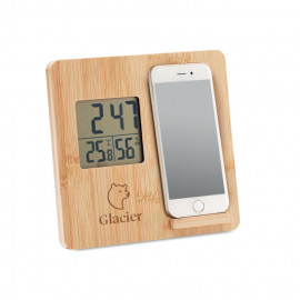 Bamboo weather station